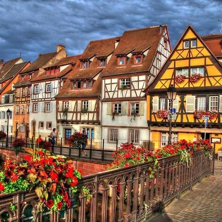 Appartement Climatise 70 M2, Proximite De Colmar Sainte-Croix-en-Plaine Dış mekan fotoğraf
