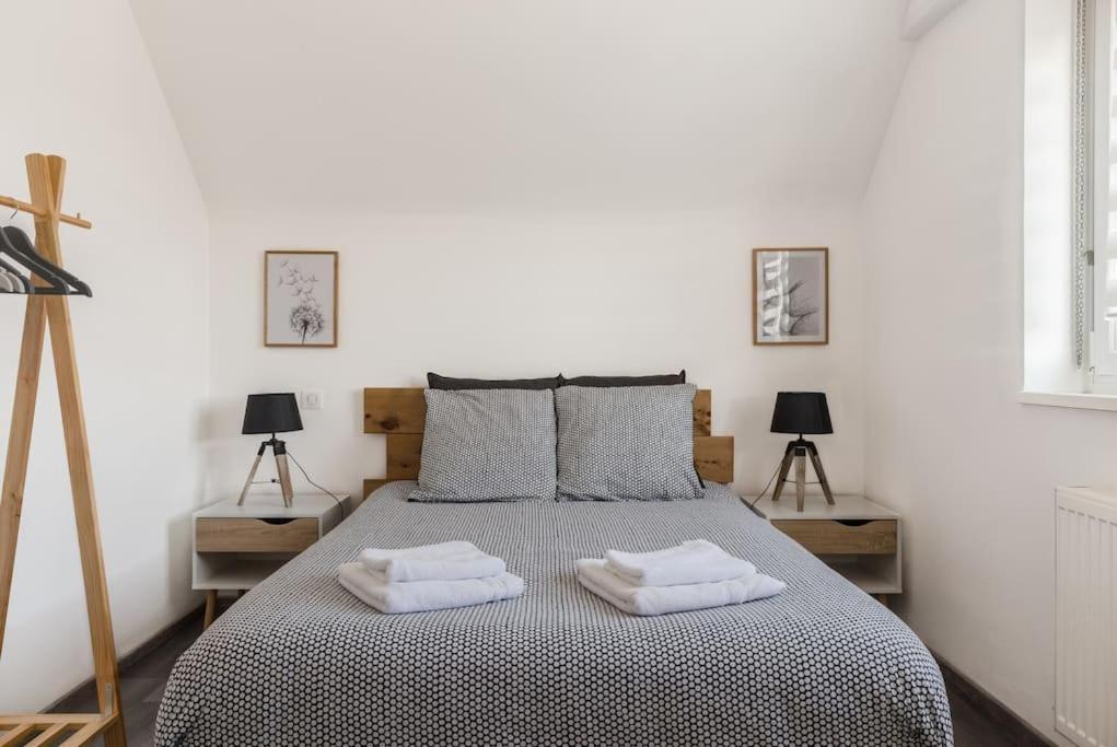 Appartement Climatise 70 M2, Proximite De Colmar Sainte-Croix-en-Plaine Dış mekan fotoğraf