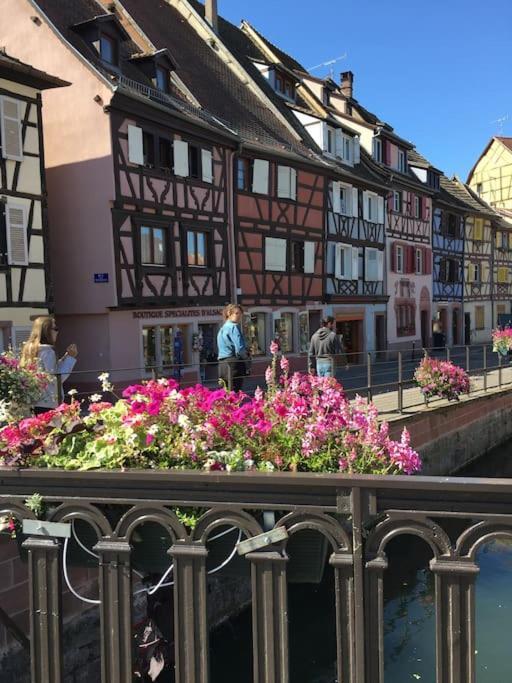 Appartement Climatise 70 M2, Proximite De Colmar Sainte-Croix-en-Plaine Dış mekan fotoğraf