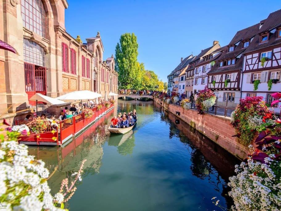Appartement Climatise 70 M2, Proximite De Colmar Sainte-Croix-en-Plaine Dış mekan fotoğraf