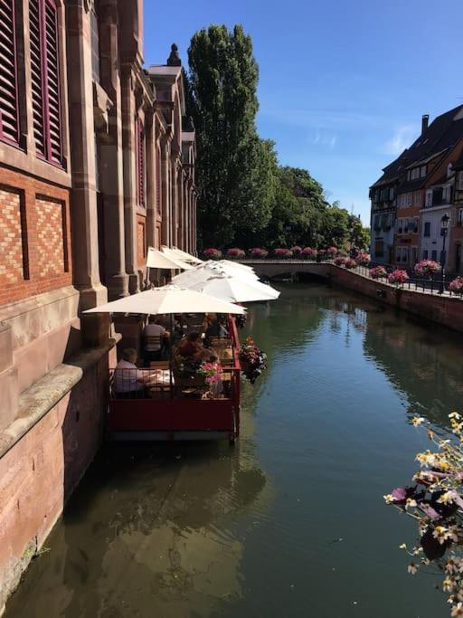 Appartement Climatise 70 M2, Proximite De Colmar Sainte-Croix-en-Plaine Dış mekan fotoğraf